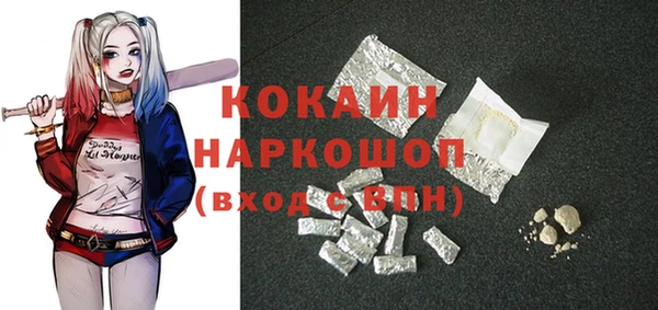 молекула духа Арсеньев