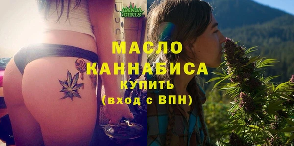 молекула духа Арсеньев