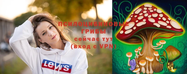 молекула духа Арсеньев